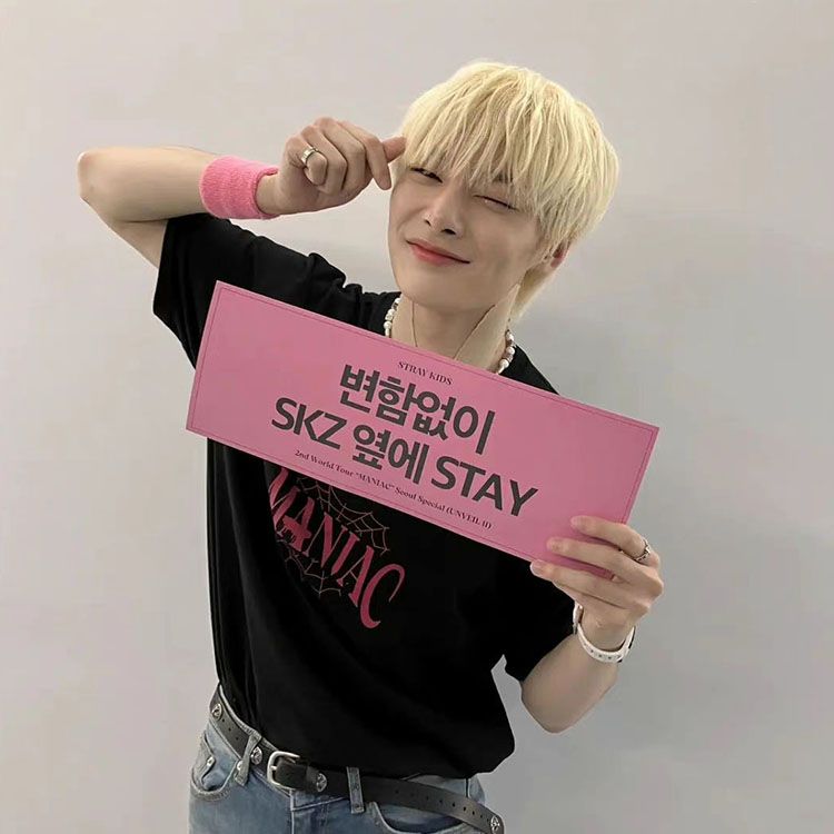 STRAY KIDS MANIAC T SHIRT 100% COTTON
